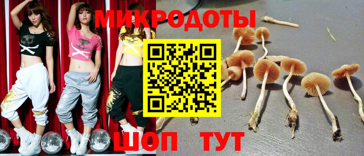 Псилоцибиновые грибы мицелий  Вход с VPN  Нижний Тагил 