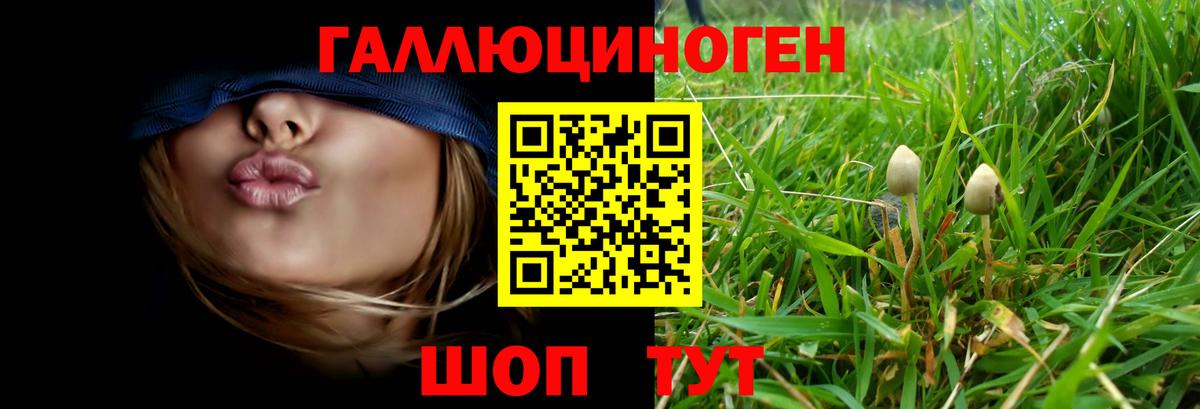 Галлюциногенные грибы GOLDEN TEACHER Нижний Тагил